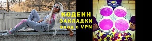 шишки Елабуга