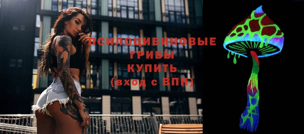 шишки Елабуга