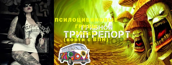 метамфетамин Елизово