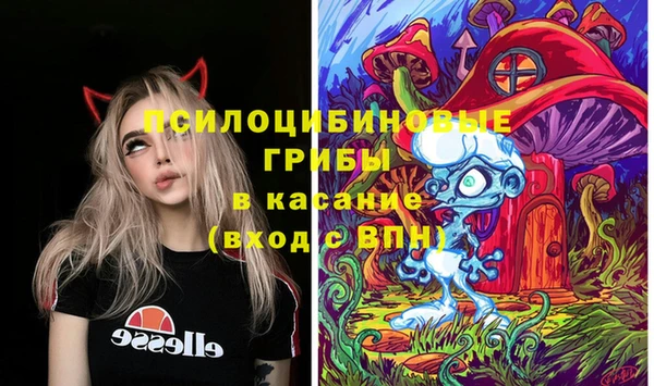 jwh Снежногорск